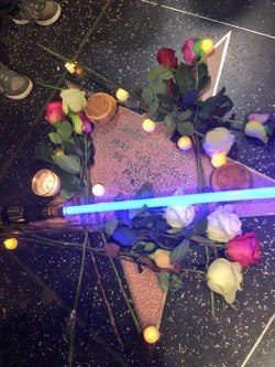 Tribute to Carrie Fisher!  I hope she has found peace!