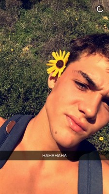 boytrappedinthcloset:  Ethan and Grayson Dolan are so unbelievably good look