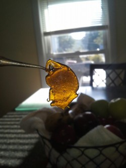 concentrate-cunt:  justfriggineric: Blueberry haze.