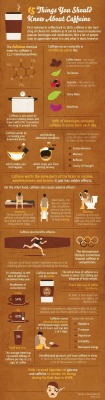 Interesting factoids about your morning beverage
