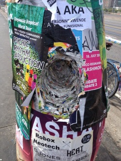 algorithmer:  sparkhed:  lzbth:  LOOK HOW MANY FLYERS HAVE BEEN STUck on tHIS LAMPOST?? germans are crazy  woo i love this lots  it’s got rings for all the years it’s been abused by ads :D 