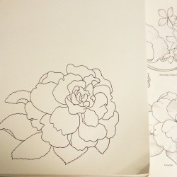 Free-hand straight-to-ink copy of a Camelia from a Dover book.  #tattooflash #flowers