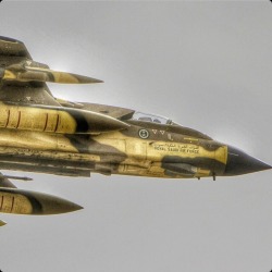 Royal saudi airforce tornado IDS.                   I took this picture of my friend in the Air Show.