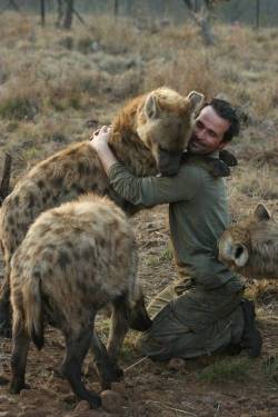 thiefofbonk:  I think this is the third time I have reblogged this. I think hyenas are really fucking cool. Look at that baby just spishitysplashin. lookit. 