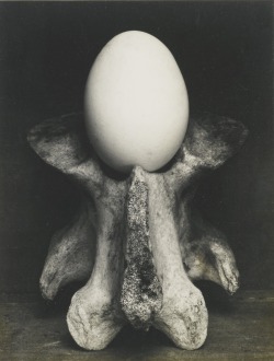 jimlovesart:  Edward Weston - Egg and Bone, 1930.  