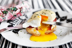 fattributes:  Eggs Benedict