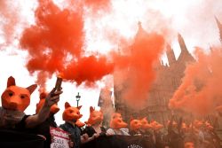 beenhereallalong13:  Protests against fox hunting in London today, Keep the ban! Foxes are beautiful and fox hunting is brutal! They are the hunters, we are the foxes and we RUN.*photo is not mine, credit goes to the mirror*
