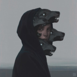frrmsd:  Digital Artist: YURI SHWEDOFF “Wolf Pack” 