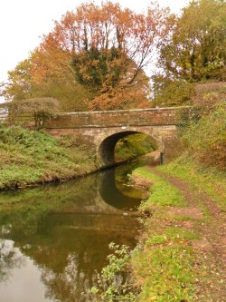 vwcampervan-aldridge:  Canal Bridge reflected in the Shropshire Union Canal, Brewood, England All Original Photography by http://vwcampervan-aldridge.tumblr.com