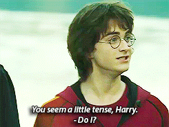 ally0mazing:   Harry potter and the sorceror’s sass The chamber of sassiness The prisoner of sasskaban The goblet of sass The sass blood prince The sassy hallows The sassiest boy who lived….. 