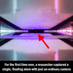 asapscience:    Using long exposure on his camera, PhD candidate David Nadlinger took a photo of an atom illuminated by a laser, while it was suspended in the air by two electrodes. (For a sense of scale, the two electrodes on either side of the atom