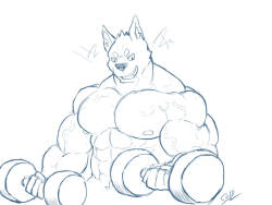 colddog1234:    sketch biceps day.    