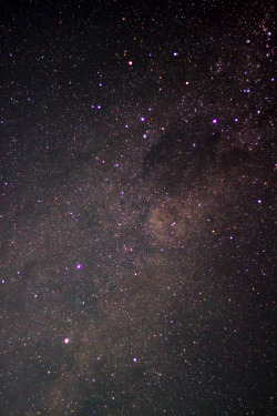 deepspaceobjects:  amomentarylapseof:  Southern Cross and Pointers on Flickr. Canon 7D Olympus Zuiko 50mm @ f1.8 Taken at Conto Beach Campgrounds  Amomentarylapseof is my personal blog, full of my own photos. Check it out 