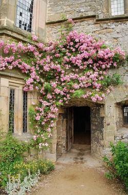 gardeninglovers:  Haddon Hall, Derbyshire - In form a medieval manor house, it has been described as “the most complete and most interesting house of its period.” The origins of the hall date to the 11th century. The current medieval and Tudor hall