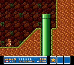 suppermariobroth:  In Super Mario Bros. 3, using the Tanooki Suit’s ability to turn into a statue on the slope at the beginning of Level 5-2 will cause Mario to lose a life when he slides toward the left side of the screen.