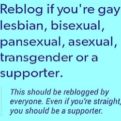 yourcuckitty:  justaboythatwantstobeagirl:  rhondalovesit:  itrainsissys: raytchel:  chrissy74d:  fembrianna:   badboyindiapers:  Hell yeah I support everyone: )   ❤️🎉❤️👬👫👭   Transgendered.   👭   Bisexual!  Trans  Transsexual, and