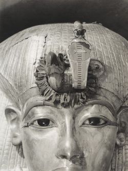 elhieroglyph:  Detail of Tutankhamen’s Outermost Coffin, photographed by Harry Burton, 1926. The golden vulture and cobra goddesses of Upper and Lower Egypt were wrapped in a wreath of cornflowers clasped in olive leaves, which fell to pieces when