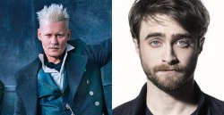 impuretale: susiephone:  alasseablack:  hypable:  Dan Radcliffe addresses ‘Fantastic Beasts’ Johnny Depp controversy: ‘Harry Potter’ kicked someone out for weed Harry Potter star Dan Radcliffe has issued some criticisms against Warner Brothers