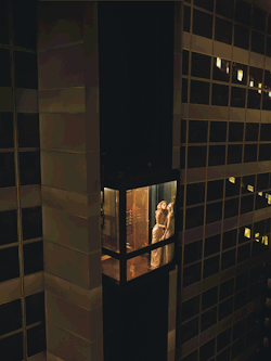 denier69:  View from my room……~~~~ wmagazine:  The night birds of Vegas.  Photo by Michael Thompson, styled by Karl Templer; W Magazine February 2008.  