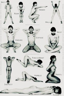 sexslavefantasy:  life-in-service:  meatinthedark:  sirbind:  Training ideas for those new subs or you are new to the bdsm word, here are some positions for you to try.  Share a bit of feedback about your experiences with these ideas  Gotta try these!