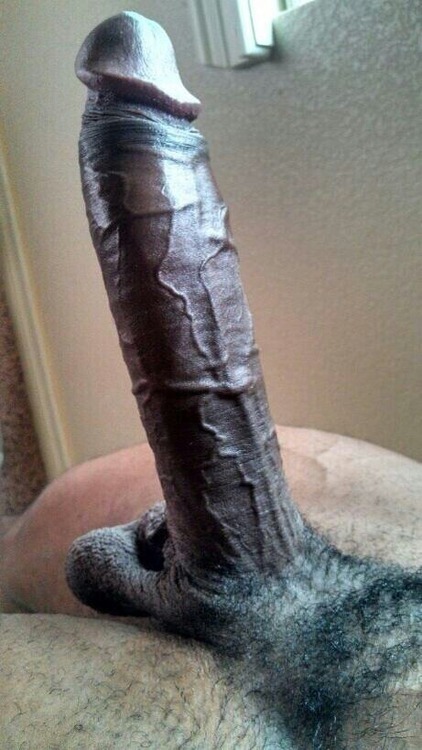 Pictures Of Giant Black Cock 71