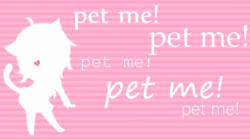 littlepetscorner:  Pets please? 