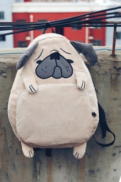 flyflygoes: New Arrival Chic Girl’s Bags  Lovely Bulldog Design Backpack  Cartoon Squirrel Print Backpack  Cute Cartoon Cat Print Backpack  Chic Floral Embroidered Backpack  Reflecting Laser Stylish Backpack Which one is your fav? Different Design!