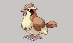 axew:  Pidgey • Hoothoot • Taillow • Starly • Pidove • Fletchling • Pipipek 