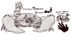 tenkdraws:  crabs 