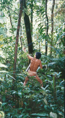   Mentawai, by Tom Schenau  Hunting for monkeys. The daily routine of the Mentawai- tribe living on the island of Siberut