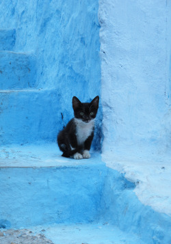 Chefchaouen or Chaouen is a city in northwest Morocco.  It is the chief town of the province of the same name, and is noted for its buildings in shades of blue.