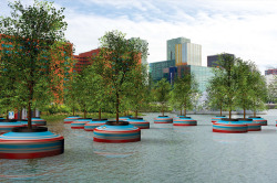 thewightknight:  A Floating Forest To Be Installed In Rotterdam  On March 16, 2016, a floating forest of 20 trees will be launched in  Rotterdam, Holland. Inspired by an art piece named “In Search Of  Habitus,” by artist Jorge Bakker, local art collective
