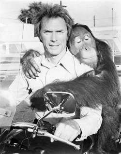 Clyde the orangutan gets cozy with Clint Eastwood aboard a motorcycle.