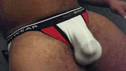 ilovebearsposts:  http://ilovebearsposts.tumblr.com/archive  Awesome buldge
