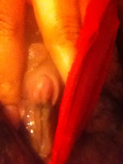 itslesbianfanatic:  pantiesallsowet:  My phat juicy pussy and ass in red lace panties 👅👅👅💦💦💦🍑🍑🍑 itslesbianfanatic   I’m dying to get my face between your legs mmm all that cum is gonna go to waste tonight