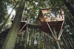 huffingtonpost:  There’s A Charming Treehouse Colony In Germany, Calling Your NameThis is Robin’s Nest Hotel in Hessen, Germany. It’s far from civilization: You’ll have to travelsnaking roads up a mountain until you reach the forested alcove of