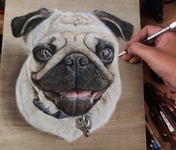 loraclespeaks:  archiemcphee:  Singapore-based visual artist and art instructor Ivan Hoo uses colored pencils and pastels to create awesome illustrations on wood panels that are both photorealistic and anamorphic. Hoo’s meticulous drawings look so incredi