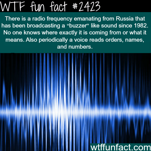 Russian Fact That 90