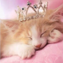 kittensintiaras: Favorite Daddy Phrases Questions: ~Who’s in charge? ~Who owns you? ~What did I say? ~Do I make myself clear? ~Do you remember your rules? ~Do you need to be punished? ~What did you just say? ~Are you going to be a good girl? ~Who’s