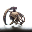 Male Chastity Device - HolyTrainer - Newsletter March 2016