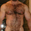 Muscle Bear Hairy