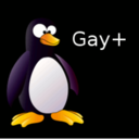 🐧 You Must Be Gay+ To View This Blog*