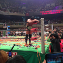 puroresusunday:  Kota Ibushi vs Ricochet (IWGP Jr Heavyweight Championship)