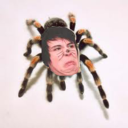 spookyspiders:  &ldquo; money cant solve all your problems &rdquo; yes it can