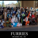aceokami:  lucobutt:  lucobutt:  furries don’t get married  they tie the knot   Die, please