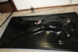 t1gerdude:A few photos from my first night at Pup Turismo’s place. He got out the vac bed and we took turns getting sealed in it