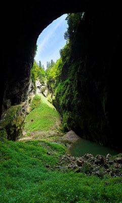 sixpenceee:  The Macocha Abyss is a sinkhole in the Moravian Karst cave system of the Czech Republic 