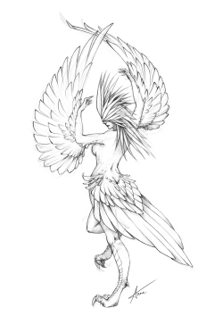 monster 1 - Harpy by ~Myrmirada &hellip; I also just figured out why sphinxen are so rare compared to harpies. &hellip;Because that 30 day monster girl challenge everyone does has no sphinx entry ;_;