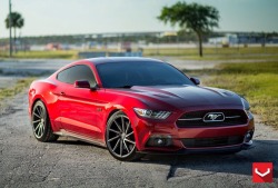 hotamericancars:  Awesome 2015 Ford Mustang GT Rides on Vossen Wheels WATCH HERE: http://hot-cars.org/2015/03/26/stunning-2015-ford-mustang-gt-on-vossen-wheels/  I think ill get one, one day.