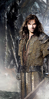 thorinds:  Fili and Kili from the new poster for The Hobbit: The Desolation of Smaug 